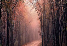 莱万巴萨生涯已打进95球,超越传奇罗纳尔迪尼奥.