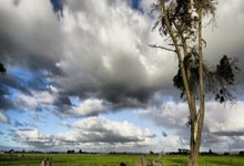 baby现身澳门打高尔夫,穿超短裙气质出众,小脸娇羞36岁似26!.