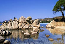 米体:图多尔上任后将重用弗拉霍维奇,搭档穆阿尼和伊尔迪兹.